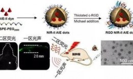 今日爆料前沿新闻最新消息,前沿新闻最新动态揭秘